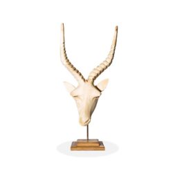 Carved Wooden Springbok Head front