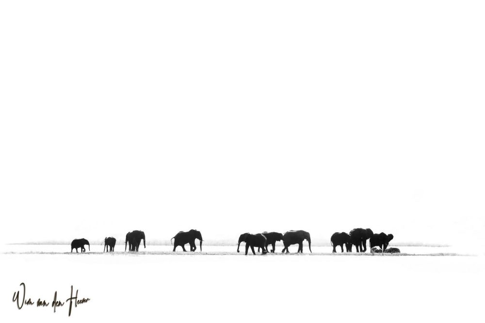 Shadows of the Giants – From the Day Collection