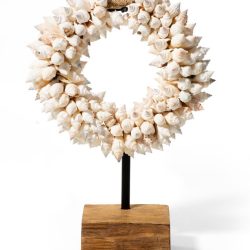 Spike Shell Bangle Display